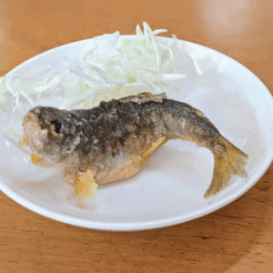 ニジマス釣りへ・食費月8万円 4人家族の晩御飯