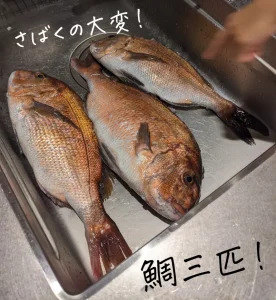 久々のパン作りと恐怖の鯛3匹・食費月8万円 4人家族の晩御飯