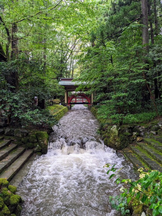 弥彦神社