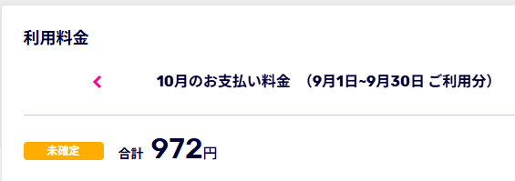 楽天モバイルの実際の料金