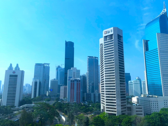 [NISA]240万円一括購入したSBIネクスト・フロンティアが好調すぎる!